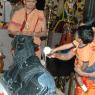 15July2008_Pradosham_29_CMP_WM