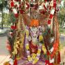 20July2008_Venkateswara_Procession_44_CMP_WM