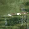 20080609_Photo_1210_DSC_0268_CMP_WM