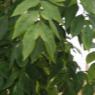 20080609_Photo_1150_DSC_0698_CMP_WM