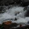 DSC_0279_CMP_WM