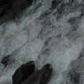 DSC_0286_CMP_WM