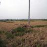 DSCN0754_CMP_WM