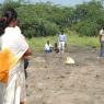 DSCN1654_CMP_WM