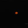 DSC_0187_CMP_WM