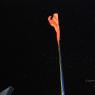05-FLAG-HOISTING-KOLATHUR_Photo_1008_DSC_0446_CMP_WM
