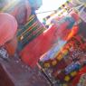 01--Kodikann -Inauguration-Rath-Yatra-Satsang
