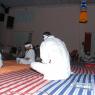 batch_20100829_0930_CMP_WM