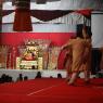 IMG_7223_CMP_WM