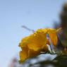 IMG_9425_CMP_WM