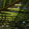 IMG_9437_CMP_WM