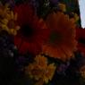 IMG_0593_CMP_WM