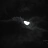 DSC_2300_CMP_WM