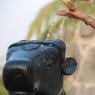 DSC_3281_CMP_WM