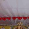 IMG_4811_CMP_WM_batch
