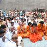 DSC_5816_CMP_WM_batch