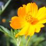 20100707_Photo_1014_DSC_1406_CMP_WM