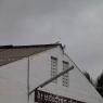 20100616_Photo_1000_IMG_7199_CMP_WM