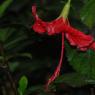 DSC_7168_CMP_WM