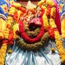 2-ANANDESHWARA-ANANDESHWARI-UTSAV_Photo_1038_IMG_8782_CMP_WM (1) - Copy