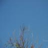 DSC_6643_CMP_WM