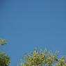 DSC_6645_CMP_WM