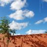 2010-Oct-05-AFP-12171