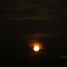DSC_6206_CMP_WM