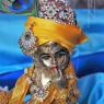 DSC_3698_CMP_WM