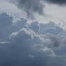 DSC_4594_CMP_WM