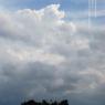 DSC_4595_CMP_WM
