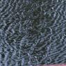 20100915_Photo_1019_DSC_7297_CMP_WM