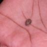 20110828_Photo_1022_26_CMP_WM
