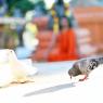 IMG_8468_CMP_WM