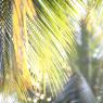 IMG_8496_CMP_WM