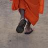 IMG_6606_CMP_WM