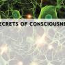 20110719_Photo_1001_Consciousnessseries33_CMP_WM