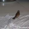2011-Jan-25-AFP-12521