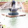 8-Vaidya-Sarovar_Photo_1005_IMG_3669_CMP_WM