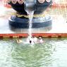 8-Vaidya-Sarovar_Photo_1009_IMG_3673_CMP_WM