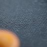20110530_Photo_1000_kumkum 3_CMP_WM