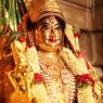 1-Temple_Photo_1001_IMG_4277_CMP_WM