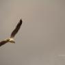 20120807_Photo_1000_IMG_7392_CMP_WM