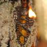 01-Kanchanoor-Temple-Visit_Photo_1003_IMG_2018_CMP_WM