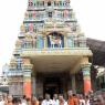 03-Darshan-By-Swamiji-Outside-Temple_Photo_1002_IMG_2196_CMP_WM