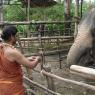 01-SPH-Feeding-Baby-elephant