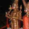 Tamil-Satsang-Rudra-Homa-and-Rudra-Abhisekam_Photo_1047_IMG_6547_CMP_WM
