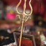 Satsang_Photo_1009_IMG_3384_CMP_WM