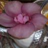 20130607_Photo_1001_IMG_3862_CMP_WM