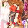 01-TEMPLE_Photo_1014_IMG_4626_CMP_WM